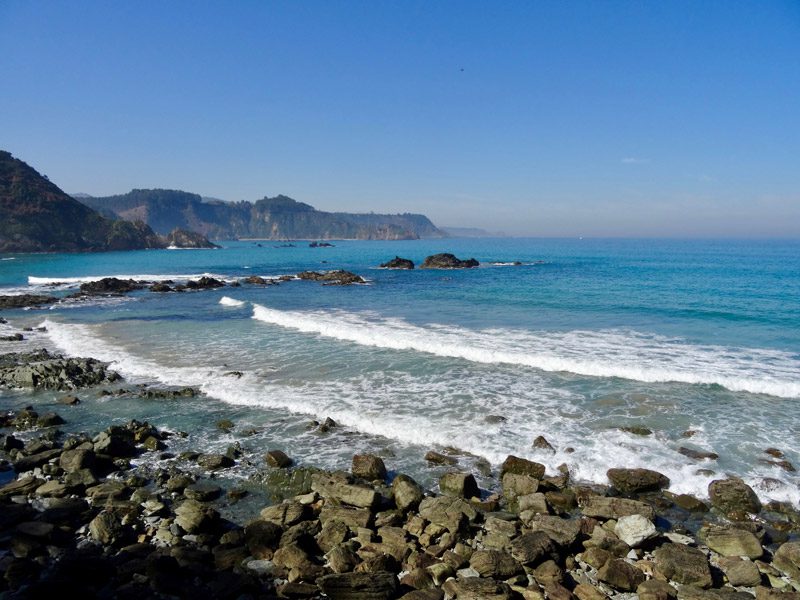 Carving Surf School